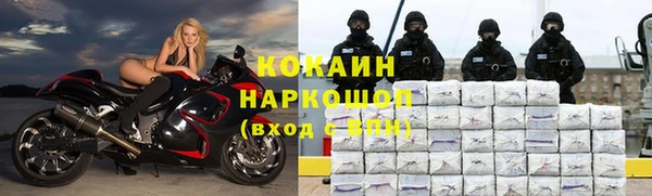 каннабис Новозыбков