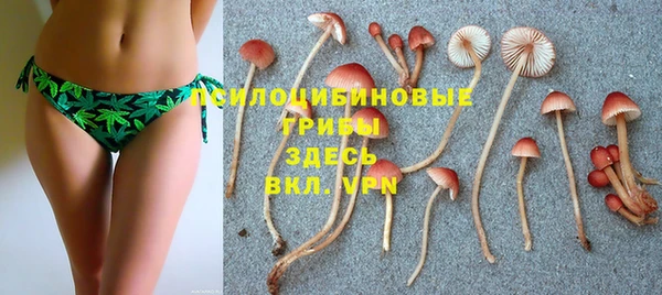 mdma Новодвинск