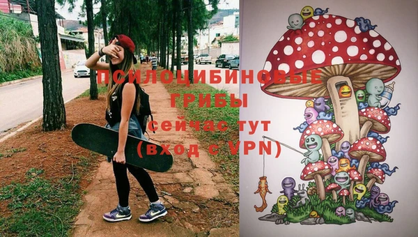 2c-b Новокубанск