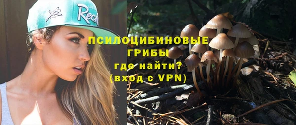mdma Новодвинск