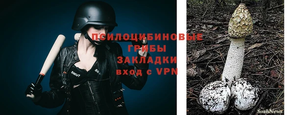 каннабис Новозыбков