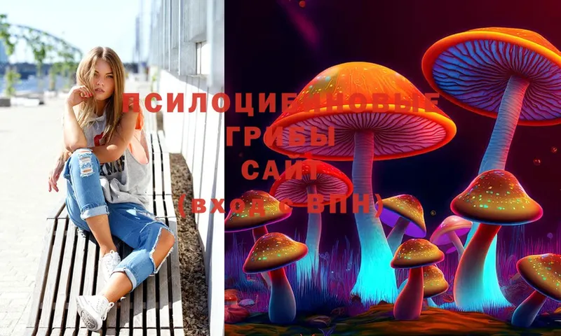 Галлюциногенные грибы MAGIC MUSHROOMS  это как зайти  Льгов 